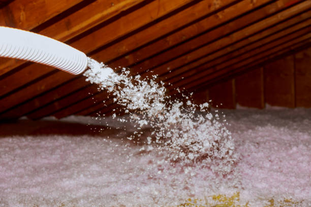 Best Types of Insulation in Jackson, SC