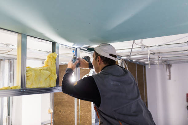 Best Residential Insulation in Jackson, SC