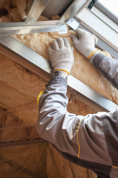 Types of Insulation We Offer in SC