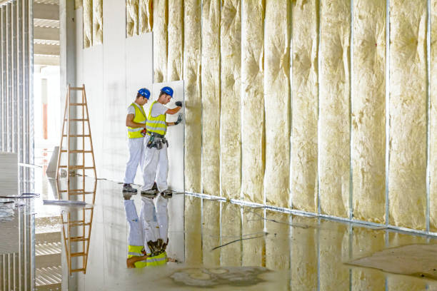 Best Insulation Installation Services in Jackson, SC